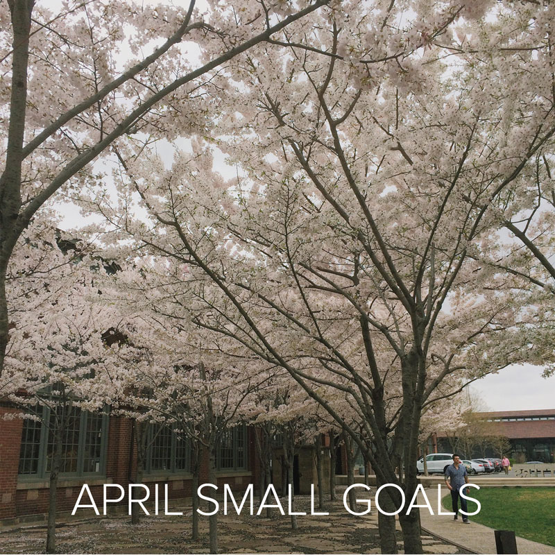 April 2016 Small Goals