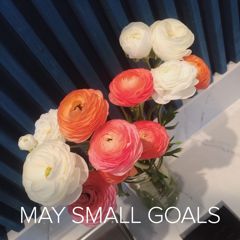 May Small Goals