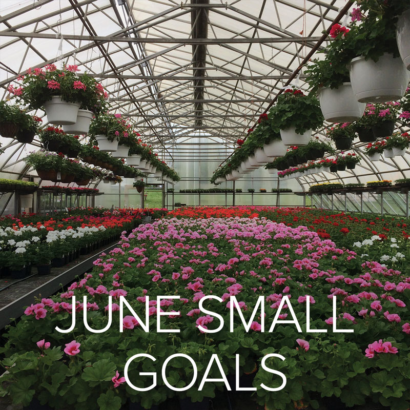 June 2016 Small Goals