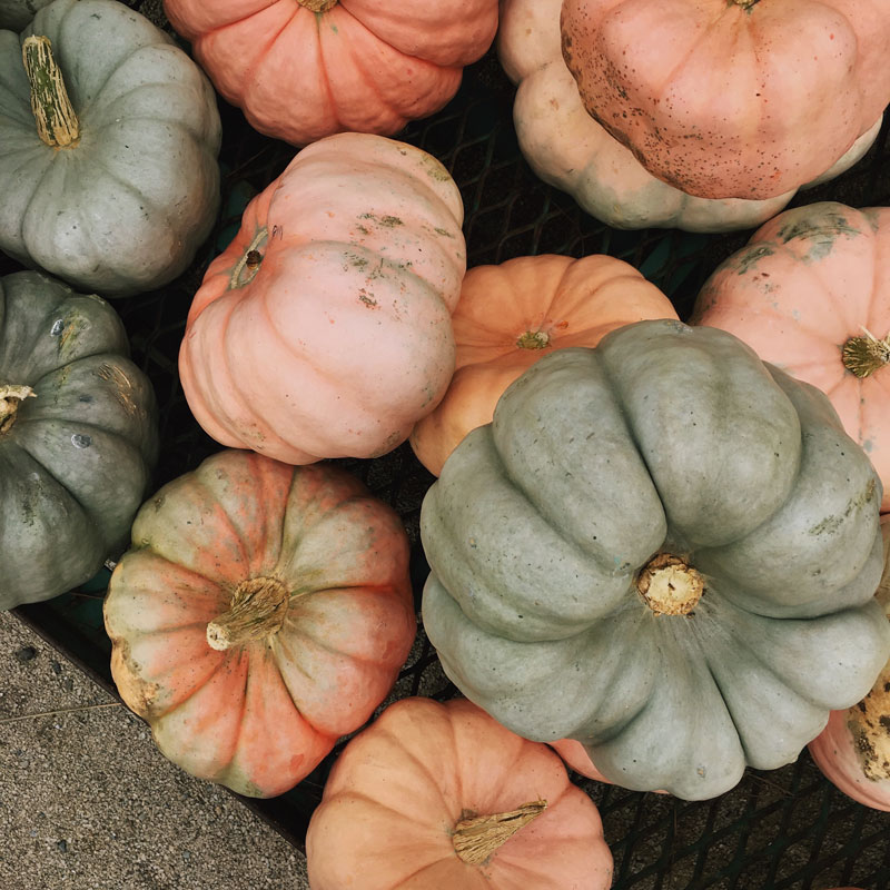 green and orange pumpkins